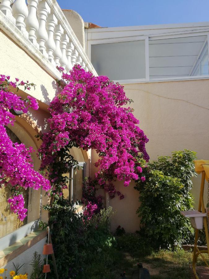Villetta Da Carla Castello  D'Empuries Exterior foto